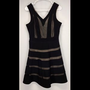 Sheer Black Banded Dress